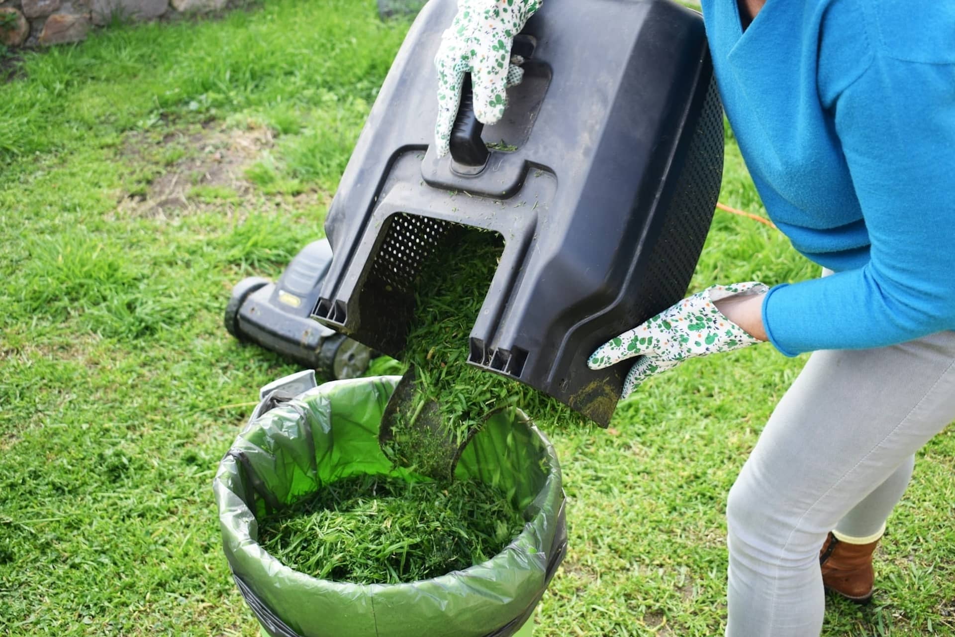 Spring Lawn Care: Fertilizing and Pest Control Tips